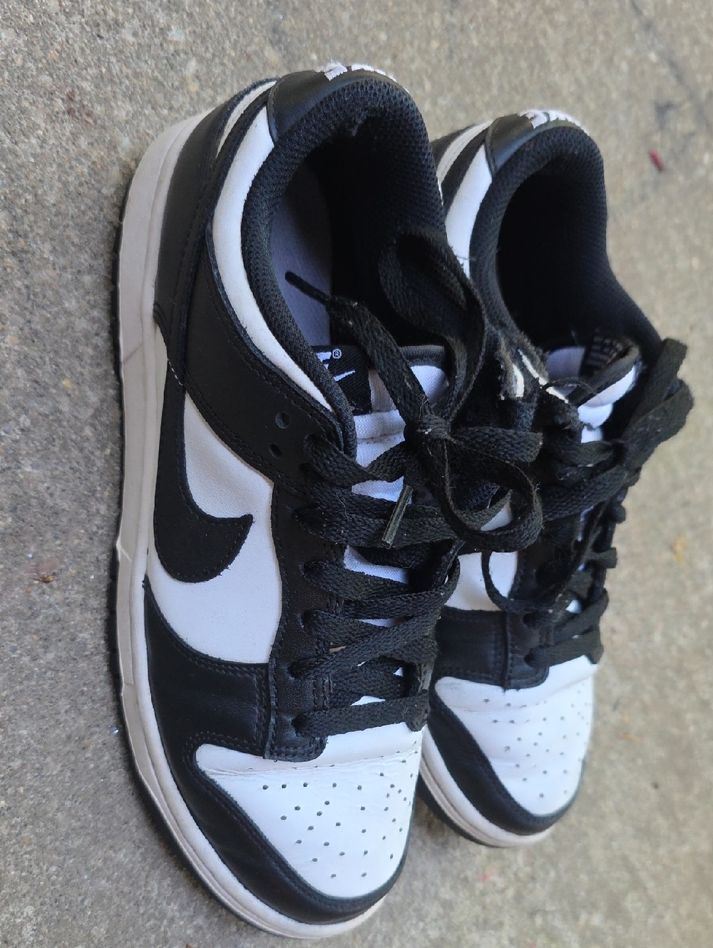 Nike Panda Dunks